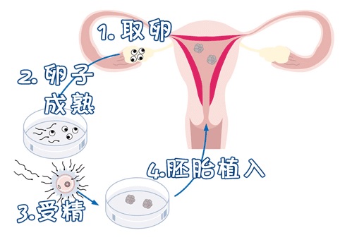 国医馆